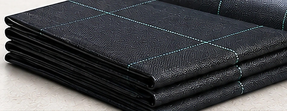 折叠切片 / Folded sheets